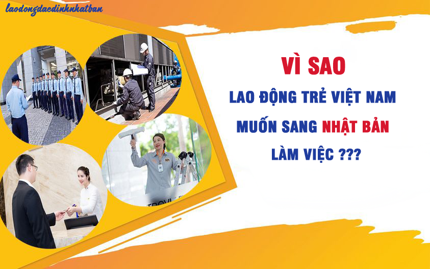 Vì sao lao động trẻ Việt Nam muốn sang Nhật Bản làm việc?