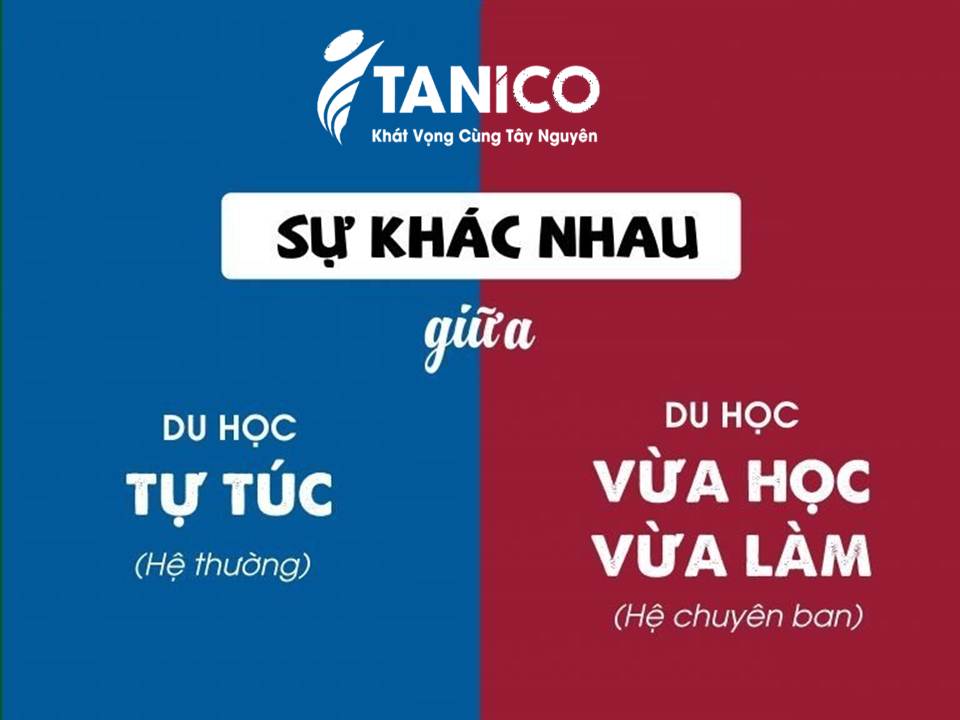 Du học Đài Loan: So sánh hệ tự túc và hệ vừa học vừa làm